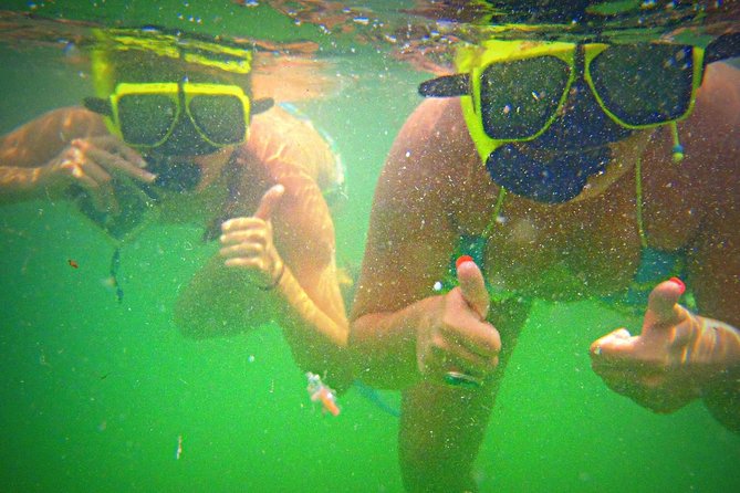 Shell Island Snorkel and Dolphin Catamaran Cruise With Island Time - Tour Experience and Additional Information