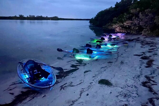 Shell Key Clear Kayak Glow in the Dark Tour - Wildlife Exploration and Preserve Visit