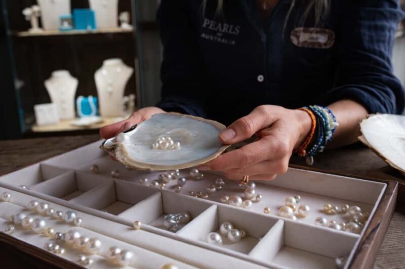Shell to Showroom - Sydney's only Pearl Farm Experience - The Sum Up: Who Will Love This Tour?