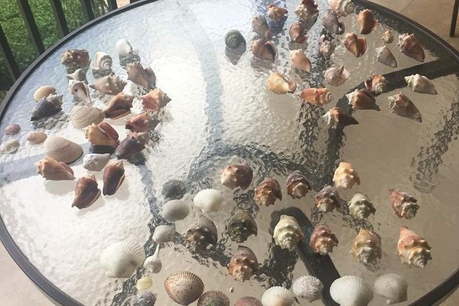 Shelling Tours - Fort Myers Beach / Naples - Note