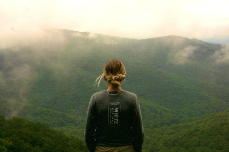 Shenandoah National Park: Private Day Tour - Activity Details