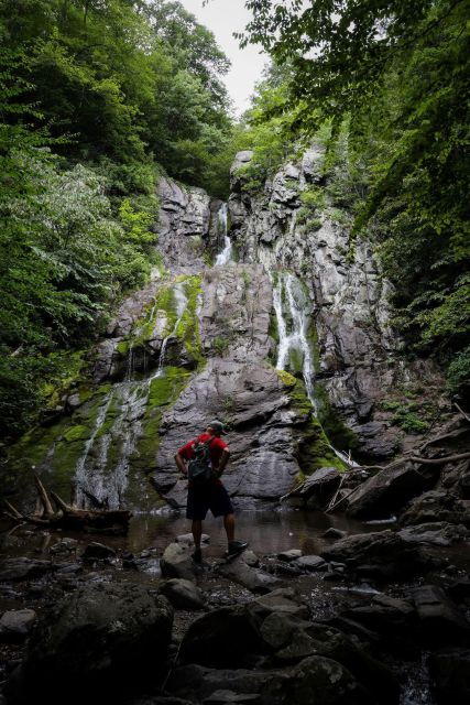 Shenandoah National Park: Private Day Tour - Park Highlights