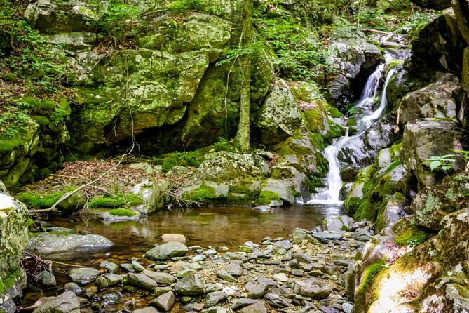 Shenandoah National Park Self-Driving Audio Tour - Common Questions