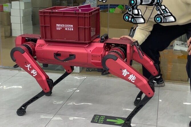 Shenzhen 0.5 or 1 Day: "Tech Focus Tour" or "Culture+Tech Tour" - Who Is This Tour Best Suited For?  