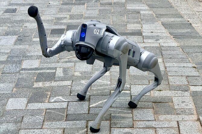 Shenzhen 0.5 or 1 Day: "Tech Focus Tour" or "Culture+Tech Tour" - Final Thoughts