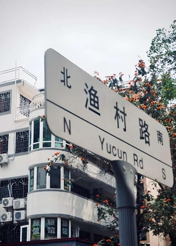 Shenzhen: 3H Shekou Seaside Walk & Minghua Cruise Experience - Good To Know