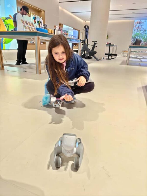 Shenzhen: AI and Robotics Experience Tour - Introduction