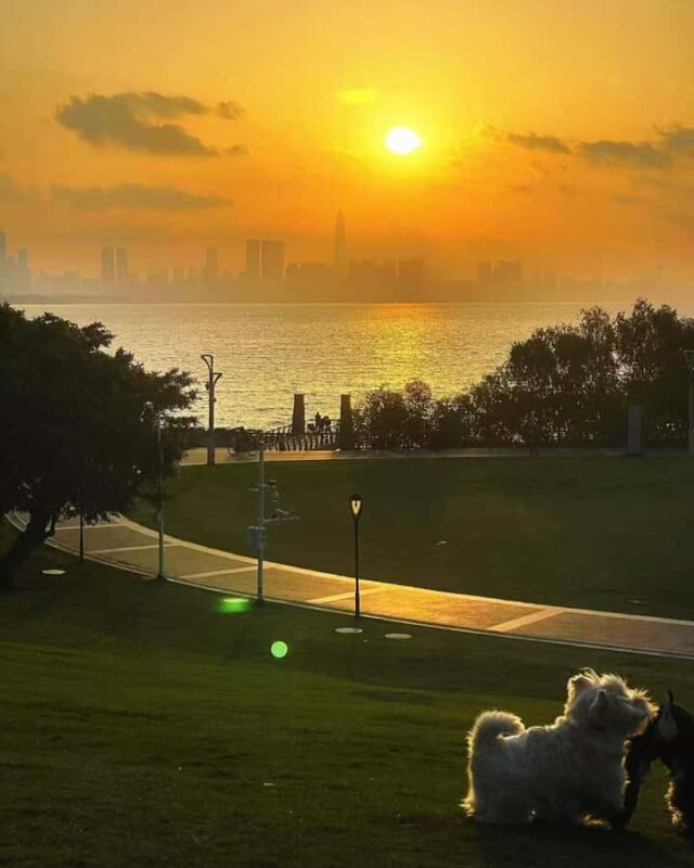 Shenzhen: Bay Park and Talent Park Guided Bike Tour - An In-Depth Look at the Shenzhen Bay and Talent Park Bike Tour