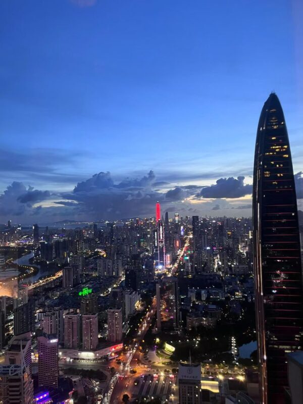 Shenzhen Dameisha & Diwang Mansion Full-Day Tour - Is the $69.50 starting price good value?