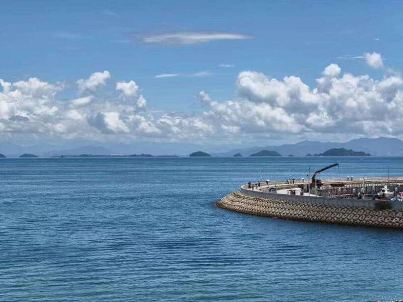 Shenzhen: Dapeng Peninsula Day Tour with Hotel Pickup - A Closer Look at the Dapeng Peninsula Day Tour