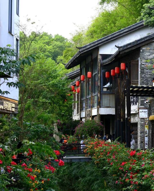 Shenzhen Gankeng Ancient Town & Cultural Heritage 5H Tour - A Deep Dive into the Gankeng Ancient Town & Heritage Experience