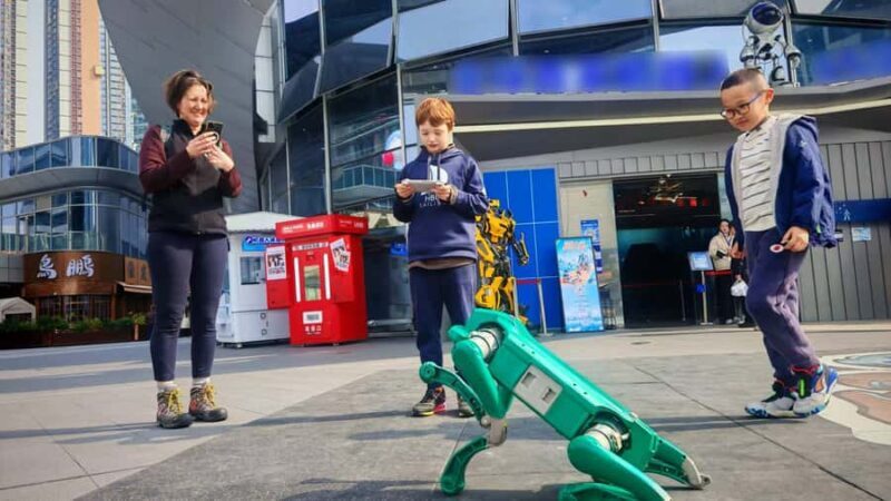 Shenzhen: Hands-On Robotics Experience - Robot Dogs & AI Art - Exploring Shenzhen’s Futuristic Robotics Tour: Hands-On Innovation and High-Tech Wonders