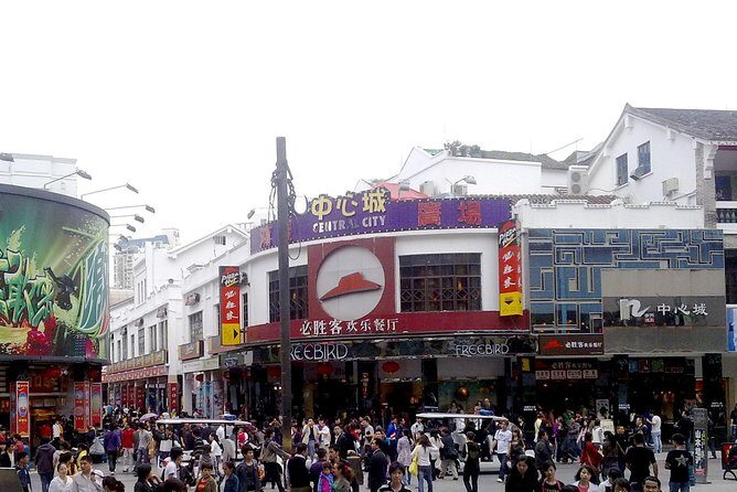 Shenzhen Private Arrival Transfer: Railway Station to Hotel - Coverage and Limitations