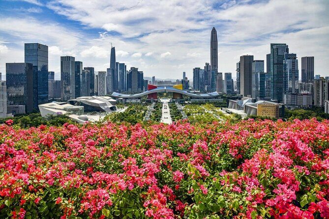 Shenzhen Private Day Tour with Car Service Tech+Culture+Shopping - Good To Know: