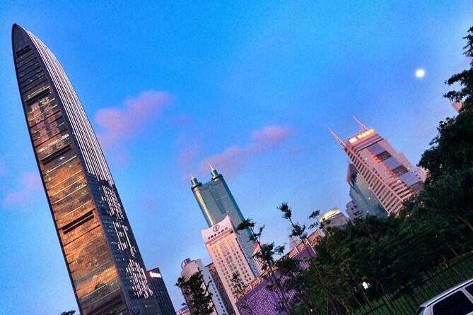 Shenzhen Private Day Tour with Guide and Driver - Transportation and Comfort
