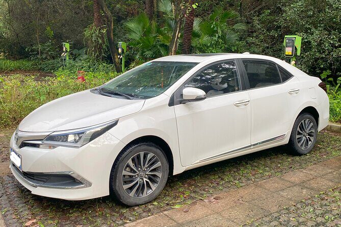 Shenzhen Private Transfer and Ongoing Travel Assistance - Good To Know