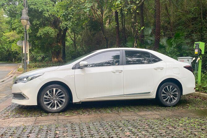 Shenzhen Private Transfer and Ongoing Travel Assistance - Detailed Review: Why This Transfer Service Deserves Your Attention