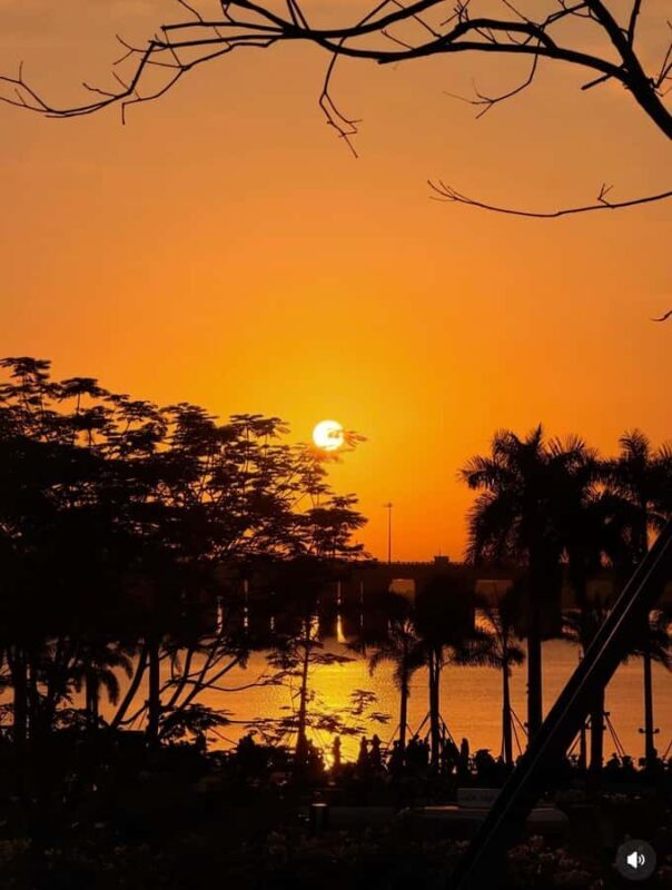 Shenzhen: Qianhai Bay to Happy Harbor Nature Walking Tour - Cultural and Literary Charm at Zhongshuge Bookstore