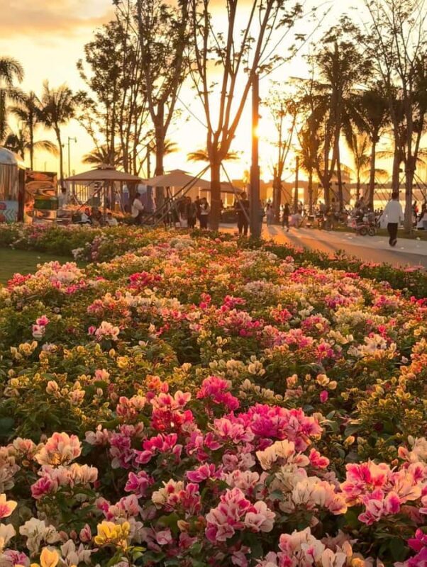 Shenzhen: Qianhai Bay to Happy Harbor Nature Walking Tour - Practical Details and Tips