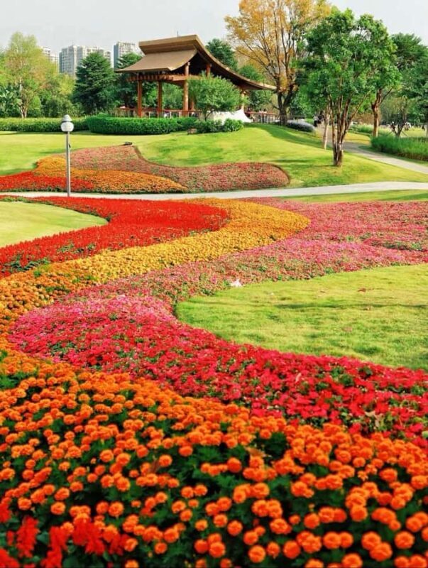 Shenzhen: Qianhai Bay to Happy Harbor Nature Walking Tour - A Complete Guide to the Shenzhen: Qianhai Bay to Happy Harbor Tour