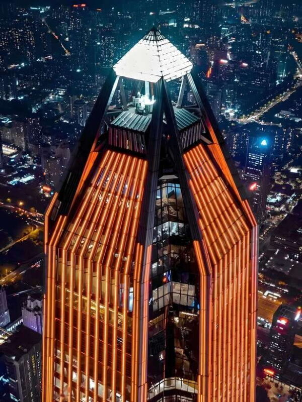 ShenZhen: Tallest Building with Luxury Meal on Highest Floor - Authentic Insights from Reviewers