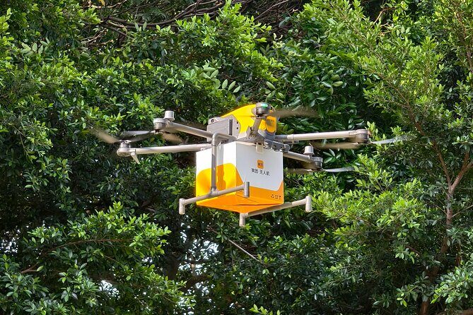 Shenzhen Tech Tour: Explore the Future - Who Should Consider This Tour?