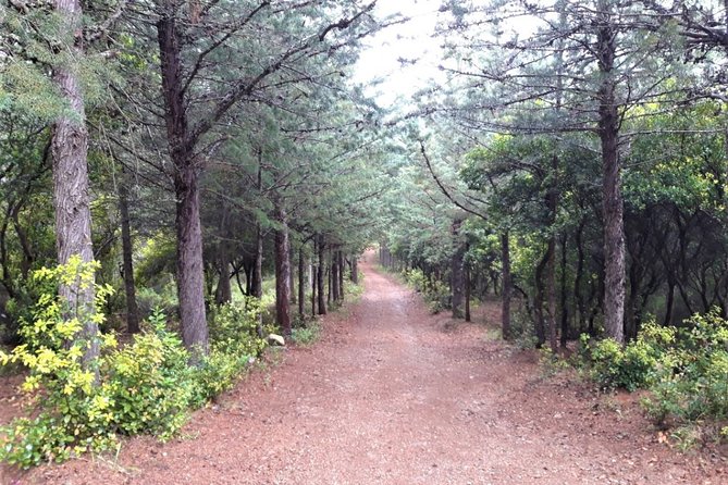 Shepherds' Tracks Through Forests and Natural Springs - Flora and Fauna
