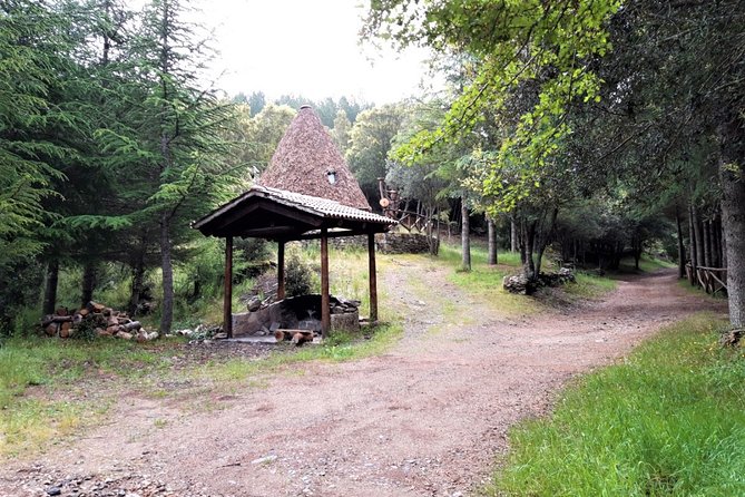 Shepherds' Tracks Through Forests and Natural Springs - Lunch Break Location