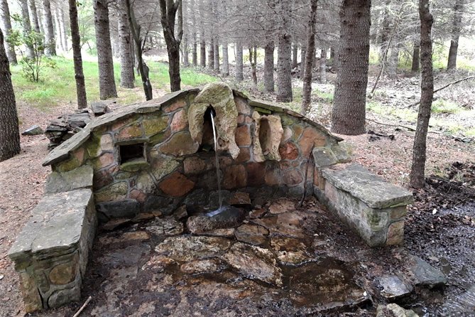 Shepherds' Tracks Through Forests and Natural Springs - Return Trip Details