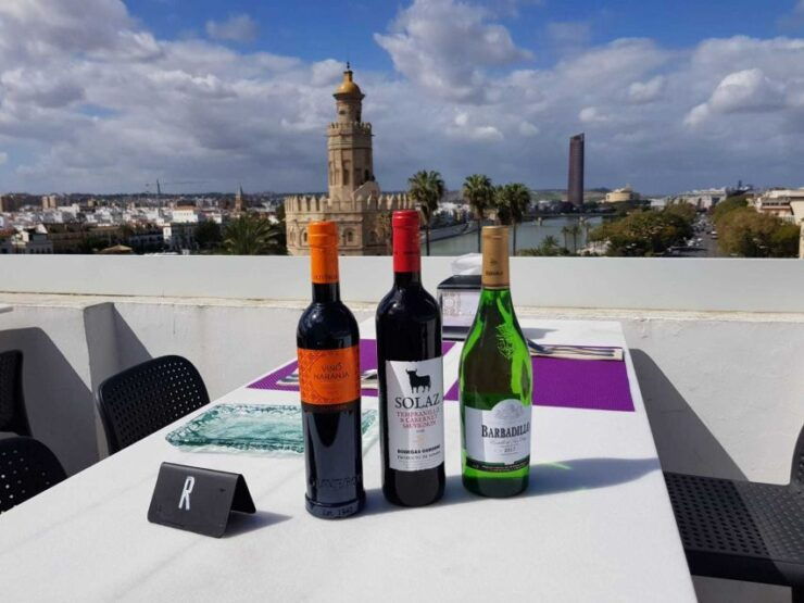 Sherry Wine Tasting With Views of Sevilla - Experience Highlights