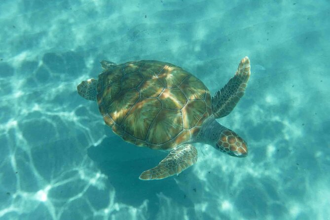 Shete Boca National Park Snorkel, BeachTour via 4x4 Vehicle  - Curacao - Common Questions