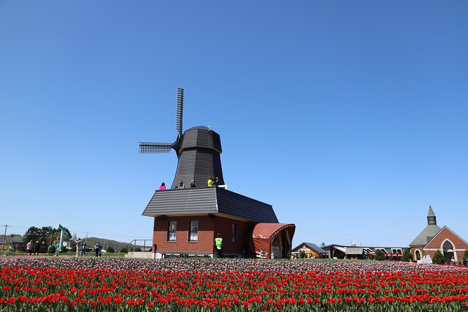 [Shibazakura / Tulip] Going by Private Car, Shibazakura Takinoue Park and Kamiyubetsu Tulip Park (Fr - Facilities and Amenities