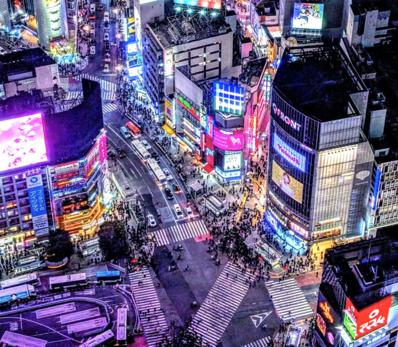 Shibuya City Highlights Half-Day Walking Tour - Shibuya City Highlights at a glance