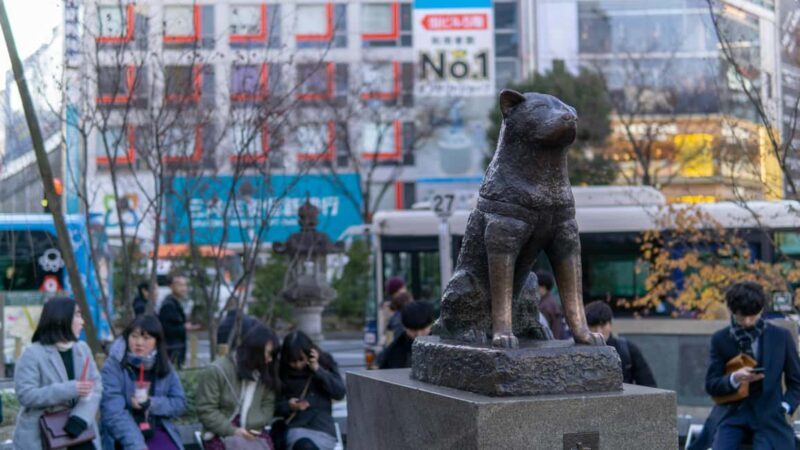 Shibuya: Crossing, Hachiko & Shibuya Sky Guided Tour - The Sum Up
