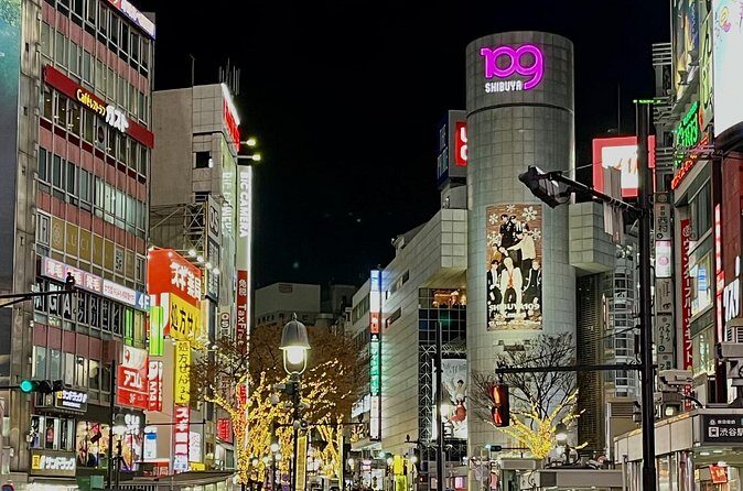 Shibuya Deep Night Walking Tour - Who Should Consider This Tour?
