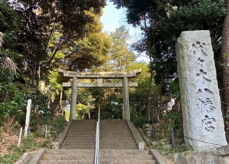 Shibuya: E-Bike Tour of Tokyo's Most Expensive Neighborhood - The Sum Up