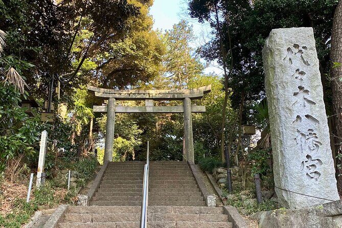 Shibuya Electric Bike Tour of Tokyo's Most Expensive Neighborhood - Who Will Love This Tour?