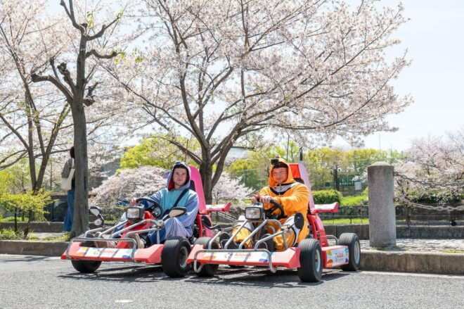 Shibuya Go Karting Tour With Funny Costume - Included Services