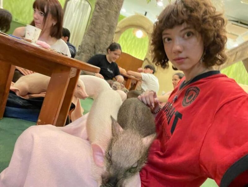 Shibuya & Harajuku: Spice it up your Tokyo tour - FAQs About the Shibuya & Harajuku Private Tour