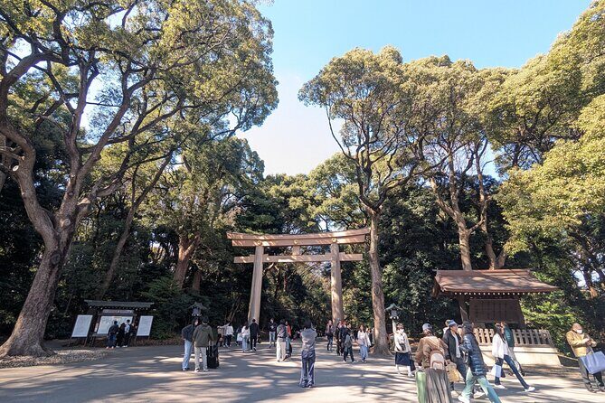 Shibuya Highlights Hachiko Scramble Meiji Jingu and Sky - Who Is This Tour Best For?