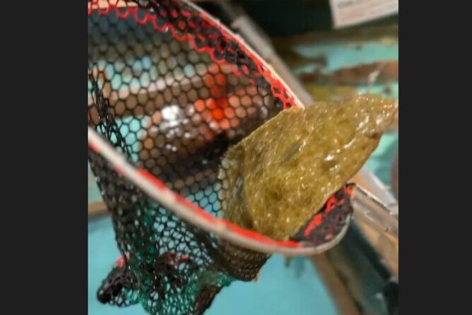 Shibuya Shopping and Izakaya Tour - Good To Know