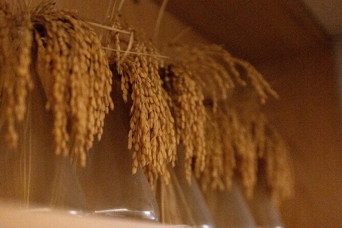 Shibuya Stream Hotel Tour - Who Will Love This Tour?