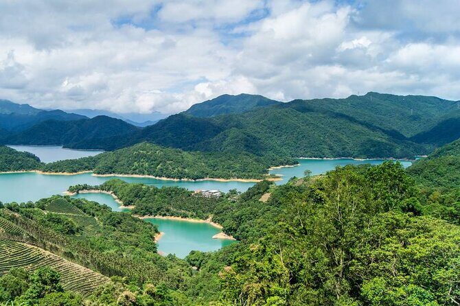 Shiding Tea Township Half-Day Tour from Taipei - What the Tour Includes and How It Works