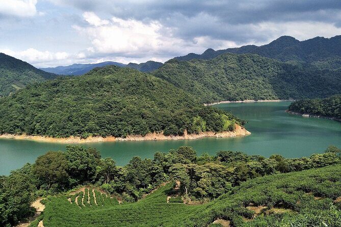 Shiding Tea Township Half-Day Tour from Taipei - What Travelers Should Know