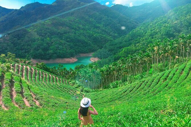 Shiding Tea Township Half-Day Tour from Taipei - Exploring Taiwan’s Tea Heartland: What to Expect