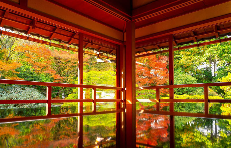 Shiga In-depth Tour: Miho Museum, Old Bamboo Forest Garden or Hieisan Shrine, Lake Biwa Shirahige Shrine Water Torii Gate (Roundtrip from Osaka / Kyoto) - Key points to know
