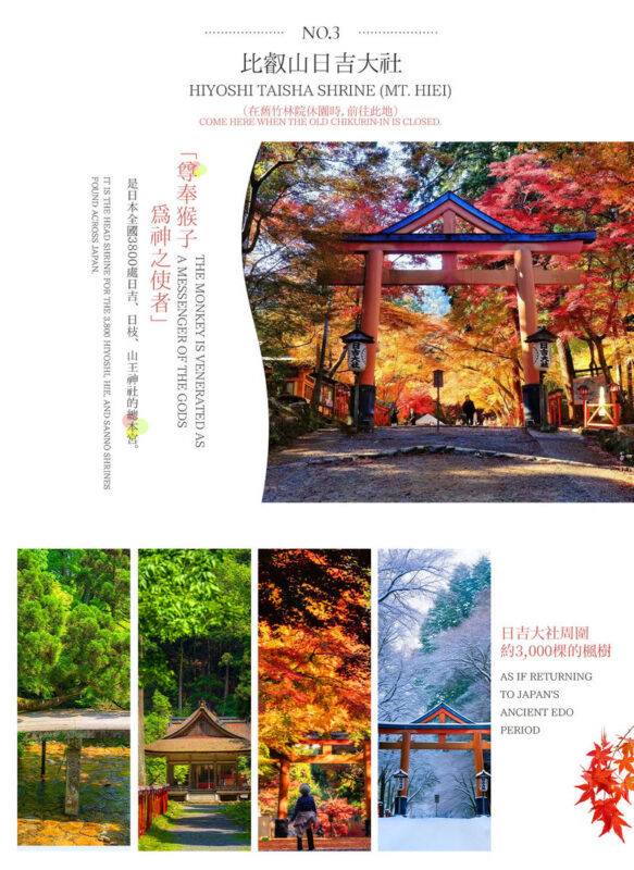 Shiga In-depth Tour: Miho Museum, Old Bamboo Forest Garden or Hieisan Shrine, Lake Biwa Shirahige Shrine Water Torii Gate (Roundtrip from Osaka / Kyoto) - A short stop at Shirahige Shrine
