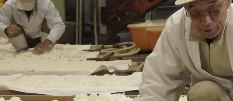 Shiga: Kitajima Sake Brewery Tour with Tasting - Good To Know