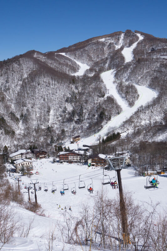 Shiga Kogen Ski & Snowboard Lesson - On the snow at Shiga Kogen