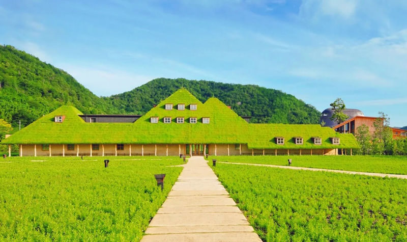 Shiga Lake Biwa Day Trip | Lake Biwa Observation Deck / Kyoto Sanzen-in Temple & Shirahige Shrine & La Collina Omihachiman - At a glance